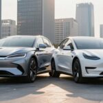 tesla vs byd